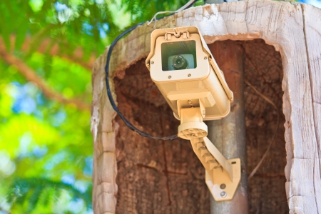 CCTV cameras 