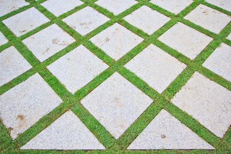 Grass Brick with manicured lawn の写真素材