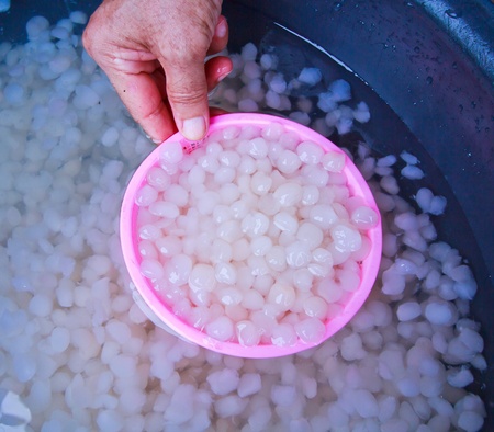 Avenga pinnata Avenga pinnata  Wurmb   Merr の写真素材