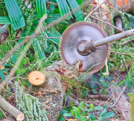 Man cutting piece of wood Cutting wood 