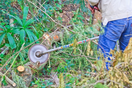 Man cutting piece of wood Cutting wood の写真素材