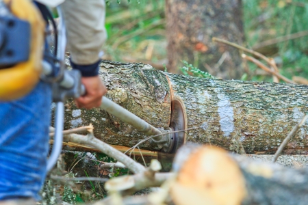 Man cutting piece of wood Cutting wood の写真素材