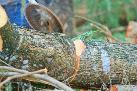 Man cutting piece of wood Cutting wood の写真素材