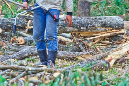 Man cutting piece of wood Cutting wood 