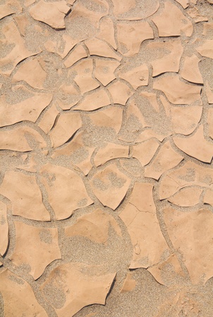 Small plant growth between cracked soil texture の写真素材