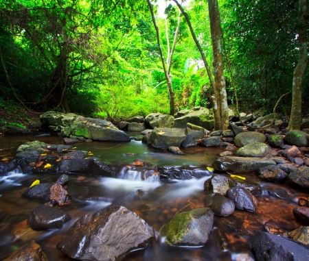 Deep forest waterfall in the rainforest thailand 