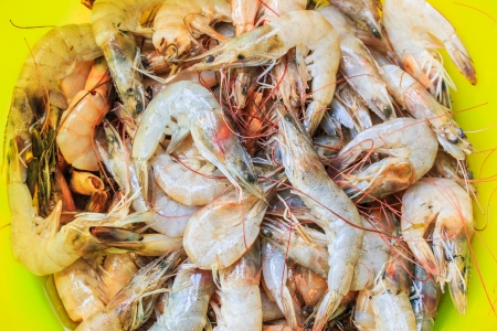 Shrimp asia Thailand の写真素材