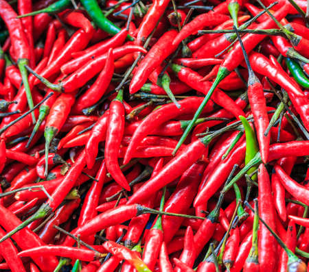 Red pepper の写真素材