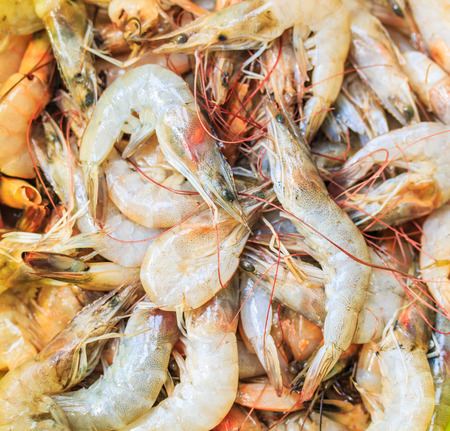 Shrimp asia Thailand の写真素材