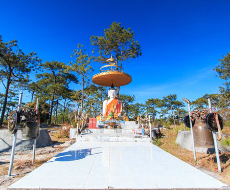 buddhaの写真素材