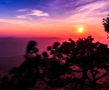 Beautiful winter sunset at cliff in the nature, with silhouettes of tree at  Lom sak cliff  Phukradung National Park,Asia Thailand の写真素材