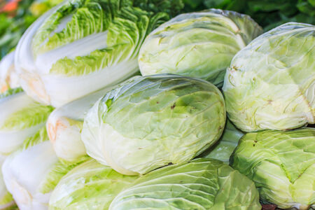 lettuceの写真素材