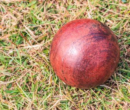 Wood ball, or Woodball sport that originated in Korea の写真素材