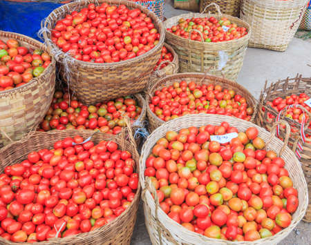 lots of tomatoes in the storeの写真素材