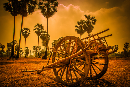 cart thailandの写真素材