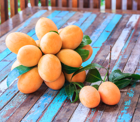 Mayongchid Maprang Marian Plum and Plum Mango thailandの写真素材