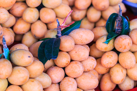Mayongchid Maprang Marian Plum and Plum Mango thailandの写真素材