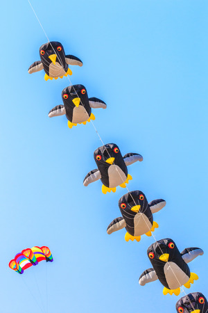 CHA AM BEACH - MARCH 9: 15th Thailand International Kite Festival on March 9th, 2014, Cha Am beach, Phetchaburi province of Thailand.のeditorial素材