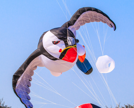 CHA AM BEACH - MARCH 9: 15th Thailand International Kite Festival on March 9th, 2014, Cha Am beach, Phetchaburi province of Thailand.のeditorial素材
