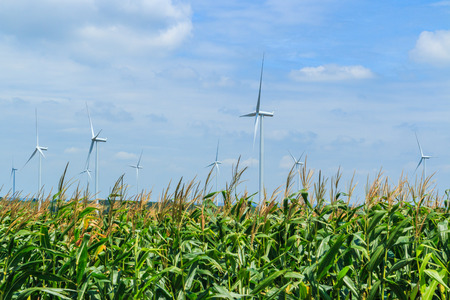 Protection of nature - wind turbineの写真素材