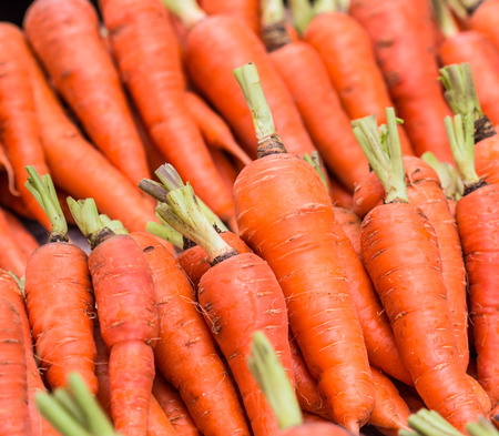 fresh carrotの写真素材