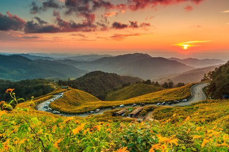 Landscape sunset nature flower Tung Bua Tong Mexican sunflower in Maehongson Province, Thailand.の写真素材