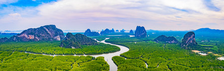 Mangrove forest and river view of Phang Nga Bay in Phang Nga Province, southern Thailand, Asiaの写真素材