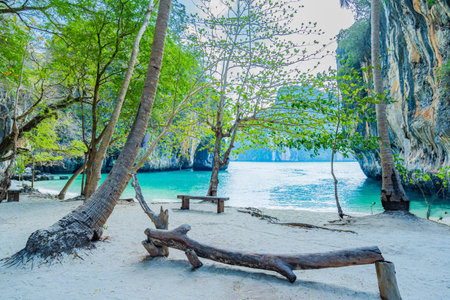 View beach with crystal emerald green sea  nature scenic landscape Lao Lading beach island in Krabi Province , Famous place of South Thailand Asia summer holidayの写真素材
