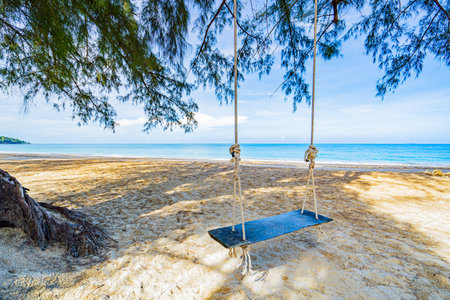 Swing hanging under a pine tree on the beach, Lanta island or Koh Lanta, Krabi Province, Thailand, Asiaの写真素材
