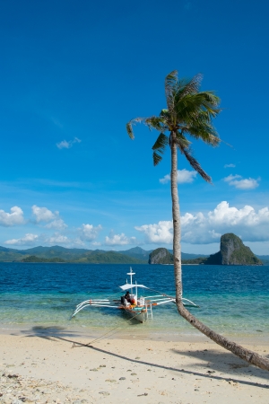 Lone curved palm tree and boat on the seashoreのeditorial素材