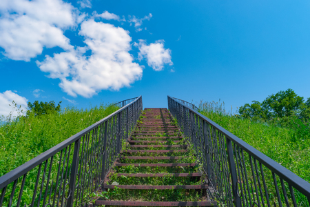Stairway to heaven. Stairs among grass to blue sky.の写真素材