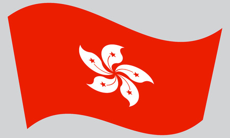 Flag of Hong Kong waving on gray background. The Hong Kong is special administrative region of the People's Republic of China.のイラスト素材