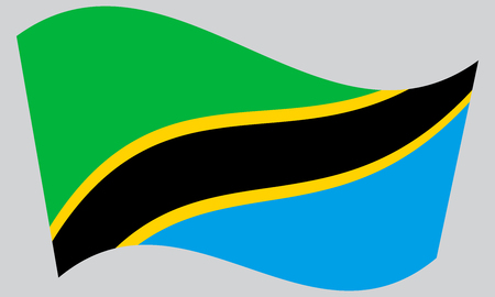 Tanzanian national official flag. African patriotic symbol, banner, element, background. Correct colors. Flag of Tanzania waving on gray background, vectorのイラスト素材
