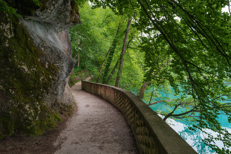 Hiking trail in forest, Lake Bled, Alps, Slovenia. Pathway lane way, green trees. Beautiful road, alley in park. Path in summer forest. Empty walkway. Scenic nature. Natural scenery. Summer landscapeの写真素材