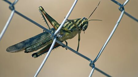 Pauseの写真素材