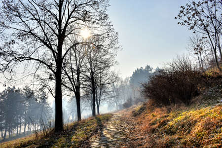 Early morning on the hill above the townの写真素材