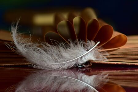 Old book and featherの写真素材