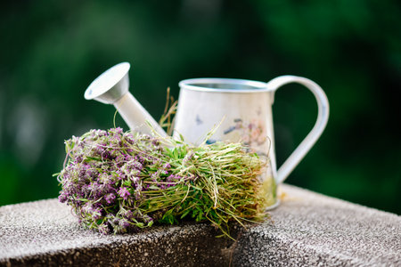 watering can and bunch of thyme on the balcony in summer