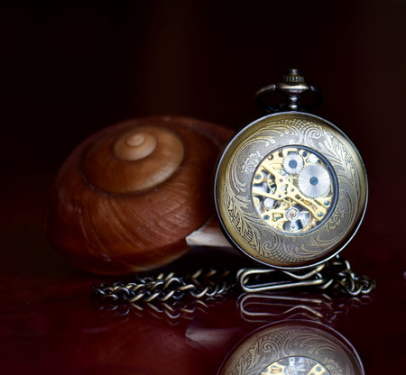 Vintage pocket watch on a dark background with a snail shell.