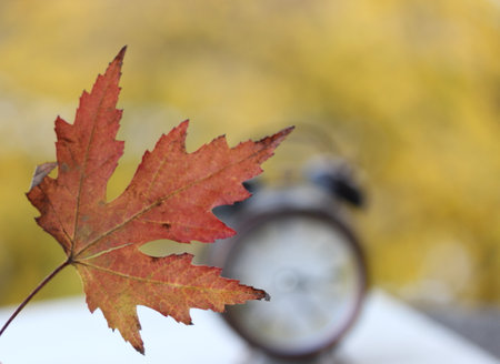 Autumnal maple leaf with alarm clock in the background, shallow DOFの写真素材
