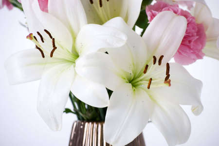 a horizontal image of white lilliesの写真素材