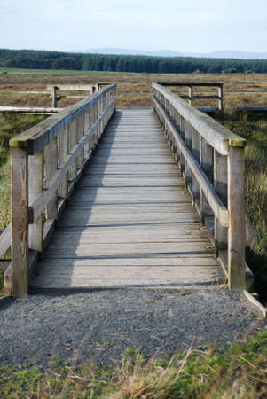 a vertical image of a wooden bridge crossing a dith on a countryside pathの写真素材