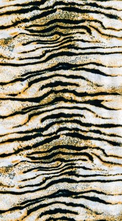 The fabric on striped tiger の写真素材