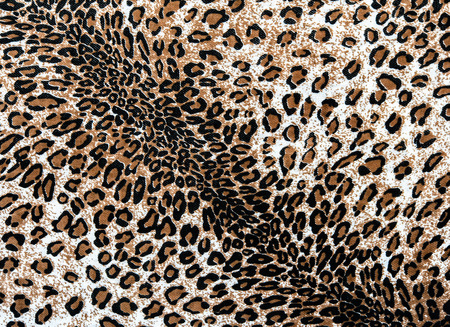 The fabric on striped leopard on background