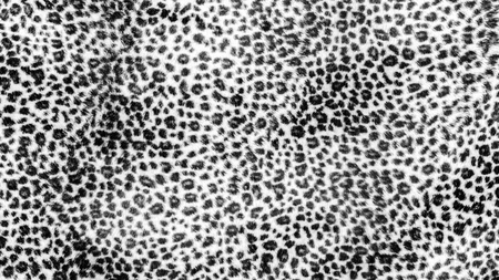 The fabric on striped leopard on backgroundの写真素材