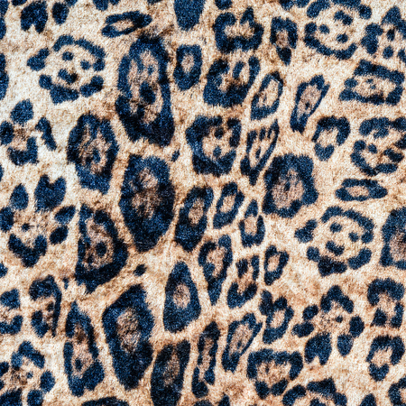 Texture of leopard striped fabric for backgroundの写真素材