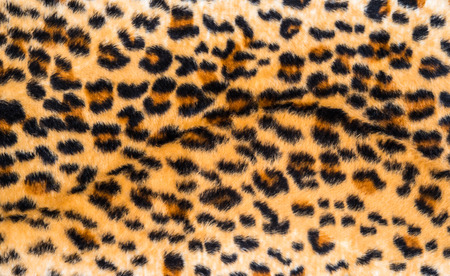 texture of leopard skin and fur for backgroundの写真素材