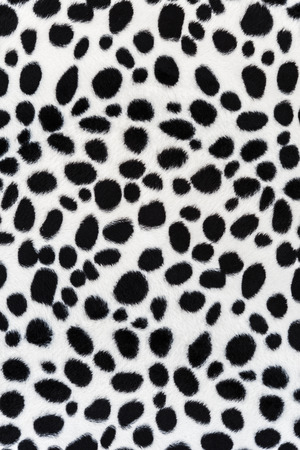 The texture of leopard leather for backgroundの写真素材