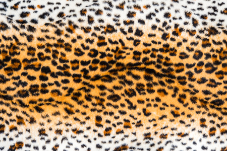 texture of leopard leather for backgroundの写真素材