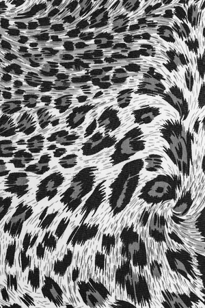 texture of fabric stripes leopard for backgroundの写真素材